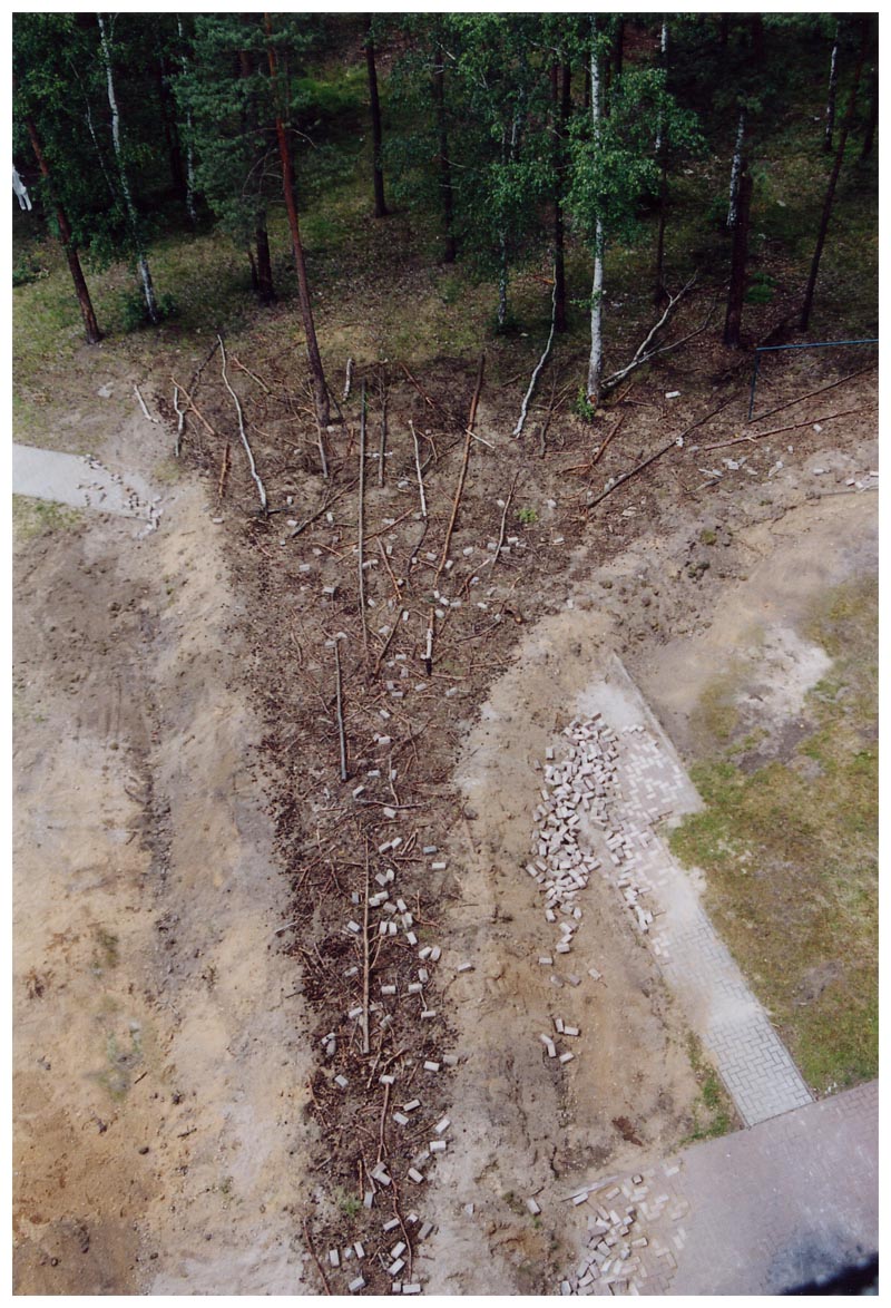 aufgewühltes Erdreich auf dem Weg zum Haus